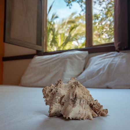 Uvita River Guesthouse Εξωτερικό φωτογραφία