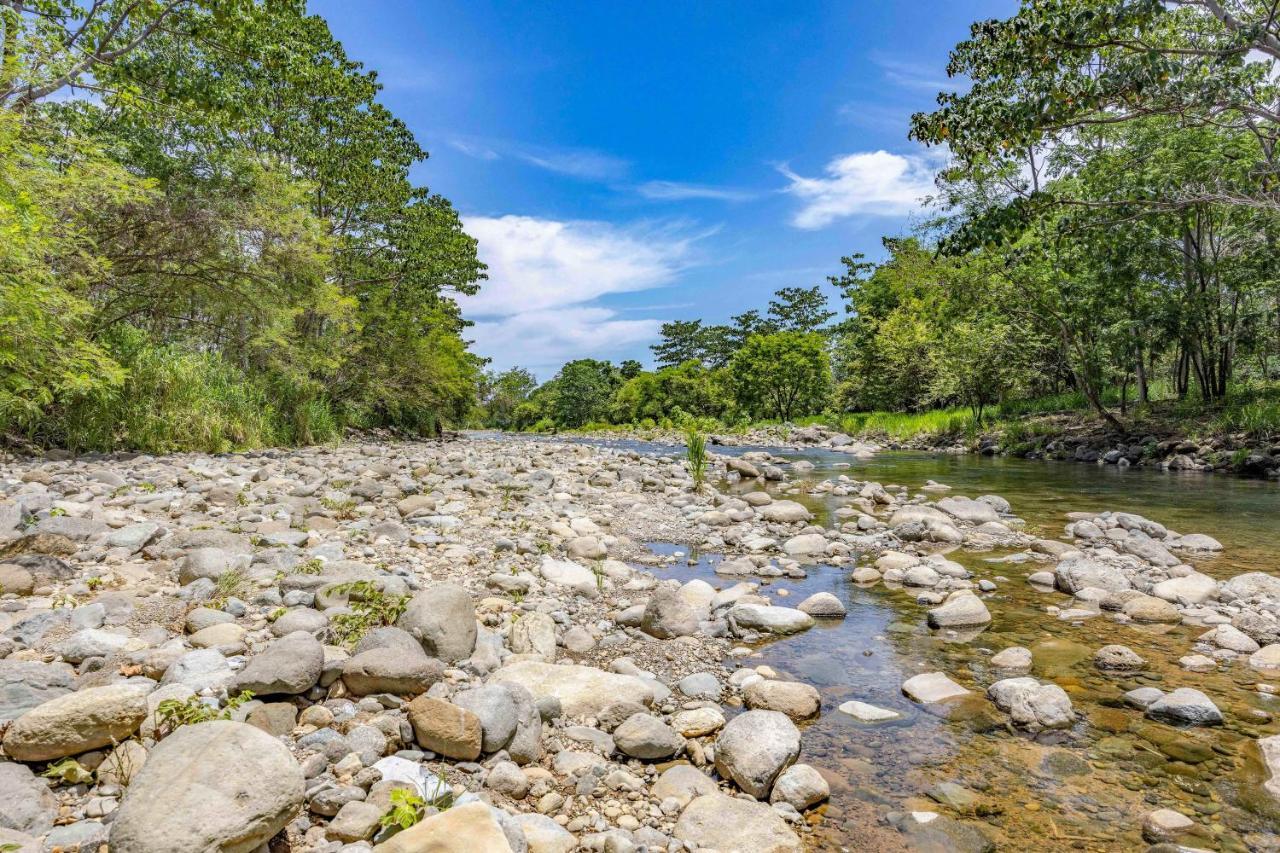 Uvita River Guesthouse Εξωτερικό φωτογραφία